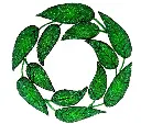 Leaf Design